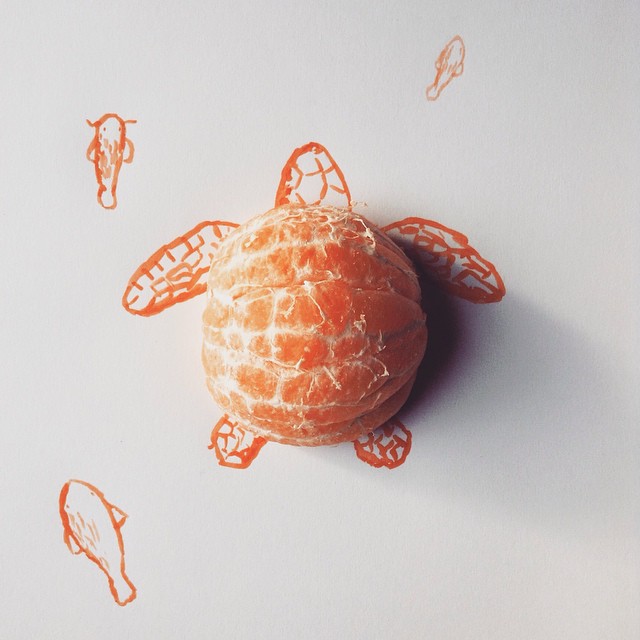orange-turtle